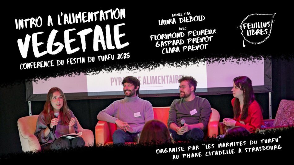 Introduction à l&rsquo;Alimentation Végétale : image à la une
